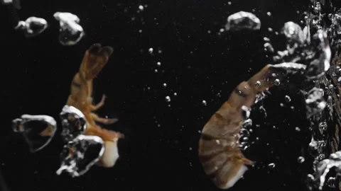 Large tiger shrimp thrown into boiling water on black background. Stock Footage 273079809