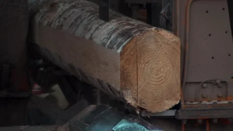 Large timber log moves on conveyor belt to be cut on vertical saw, close up Stock Footage 130567519