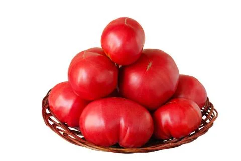 Large tomatoes isolated on white background. Harvest of beef tomato. Stock Photos