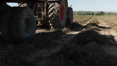 A large tractor moves through a dry, harvested tomato field, leaving behind Stock Footage 330616202