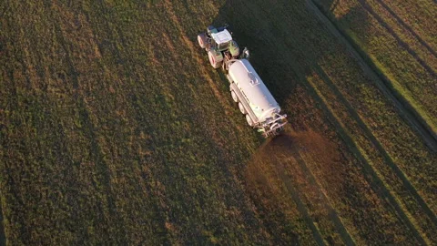 A large tractor with a slurry tank spreads slurry in the field to young crops Stock-Footage 151232142