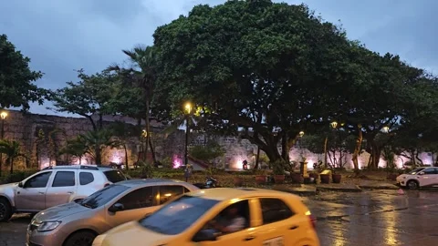 Large Tree and Lit Old Wall in Rainy Twilight with Passing Taxi, Colombia 8K Stock Footage 331506656