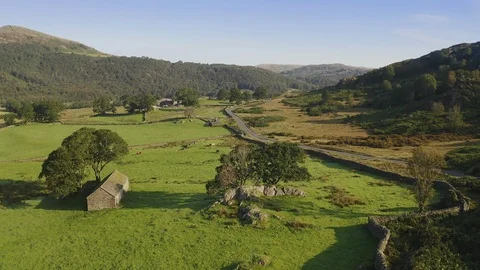 Large tree and old house built with stones 库存影片 127478912