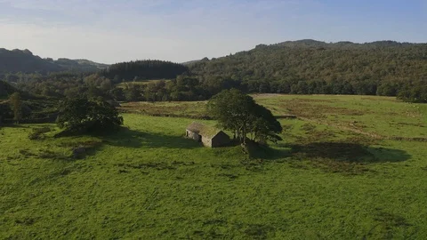 Large tree and old house built with stones Stock Footage 127480173