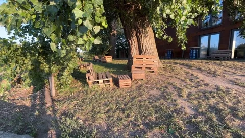 Large Tree and Outdoor Seating Area Beside Building Stock Footage 344329502