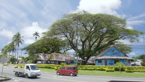 Large tree and traditional style buildings in downtown Koror, Palau Vídeo Stock 166520301