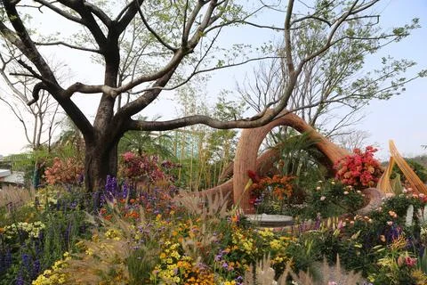 A large tree with an arched trunk is surrounded by colorful flowers and pla.. Stock Photos