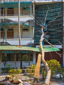 Large tree branch fallen on building roof after heavy storm, causing proper.. Stock Photos