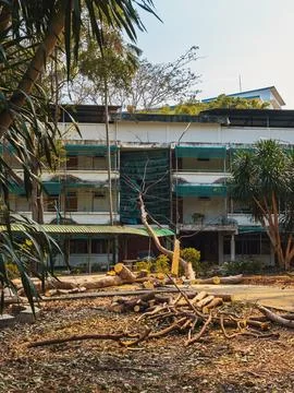 Large tree branch fallen on building roof after heavy storm, causing proper.. Stock Photos