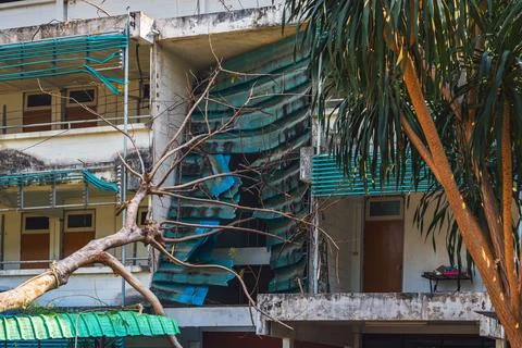 Large tree branch fallen on building roof after heavy storm, causing proper.. Stock Photos