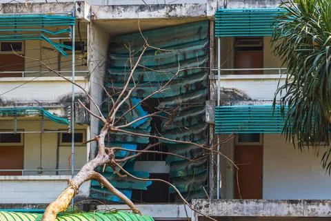 Large tree branch fallen on building roof after heavy storm, causing proper.. Stock Photos