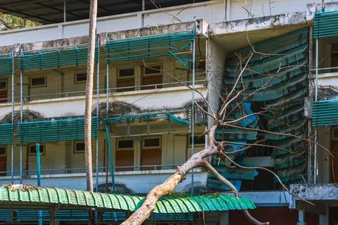 Large tree branch fallen on building roof after heavy storm, causing proper.. 库存照片