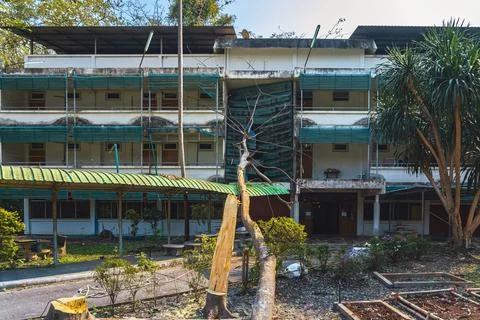 Large tree branch fallen on building roof after heavy storm, causing proper.. Stock Photos