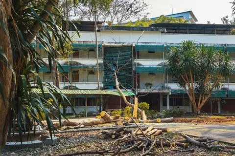Large tree branch fallen on building roof after heavy storm, causing proper.. Foto stock