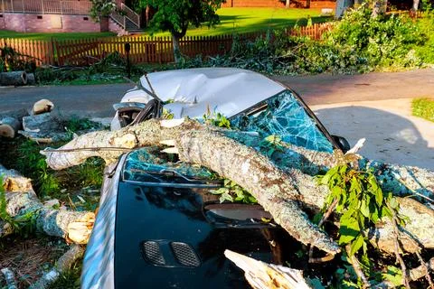 Large tree branch falls on parked car after storm damage in residential area Stock Photos
