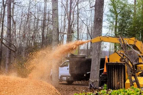 Large tree chipping machinery processes wood in wooded area during works day Stock Photos