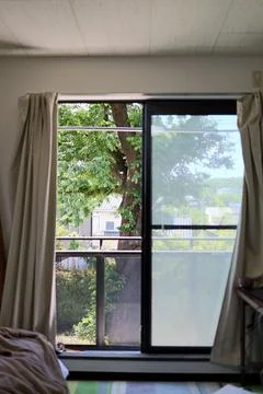 A large tree in early summer seen from the window of the apartment. Stock Photos