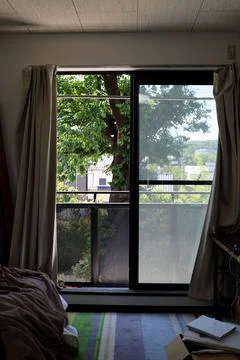A large tree in early summer seen from the window of the apartment. Foto stock