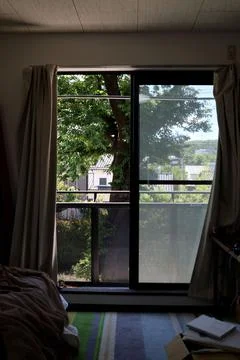 A large tree in early summer seen from the window of the apartment. Stock-Fotos
