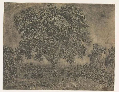 The Large Tree.For this etching Segers covered virtually the entire plate ... Stock Photos