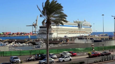 Large tree in front of cruise ship docked in harbour Stock Footage 84930472