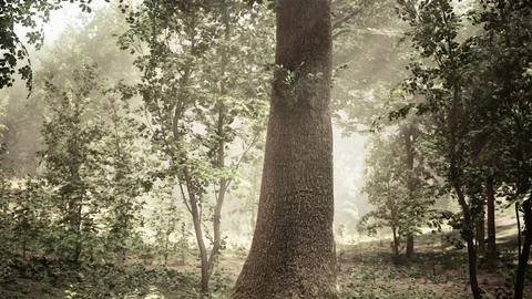 A large tree in the middle of a forest Stock Illustration