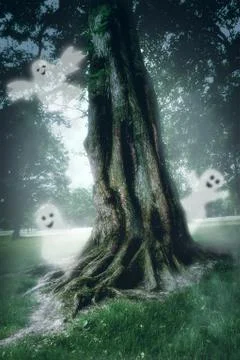 Large tree in the mist in the magic forest and ghosts Stock Photos
