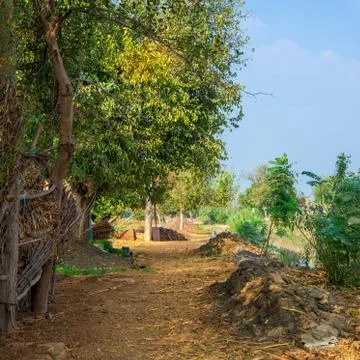 Large tree with spreading green crown in open air in valley Stock Photos