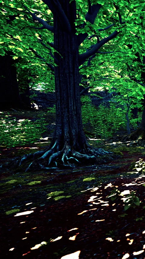 A large tree stands in a forest with roots exposed and green leaves on branches Stock Footage 341270288