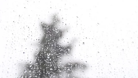 Large tree top waved by strong wind under heavy rain Stock Footage 135131918