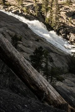 Large Tree Trunk Hangs Over The Edge Of Granite Cliff With Waterwheel Falls.. Fotos de archivo