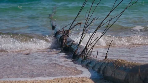 A large tree trunk washed ashore after a storm Stock Footage 126783104