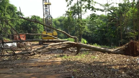 Large tree uprooted from the ground for residential land clearing Stock Footage 159778458