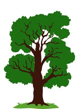 Large Tree Vector Illustration Stock Illustration