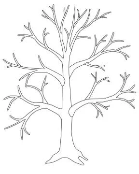 A large tree without leaves is a vector linear picture for coloring. Stock Illustration