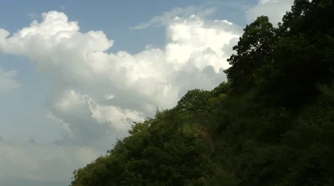 Large Trees and Slow Moving Clouds Stock Footage 53232606
