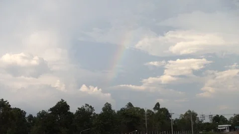 Large trees with rainbow and white clouds on top 스톡 동영상 108076047