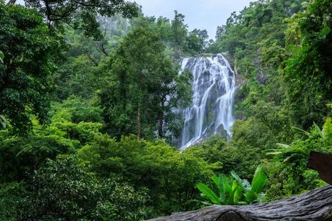 Large Tropical Waterfall Cascading Down Lush Rainforest Cliffside Wide Shot Stock Photos