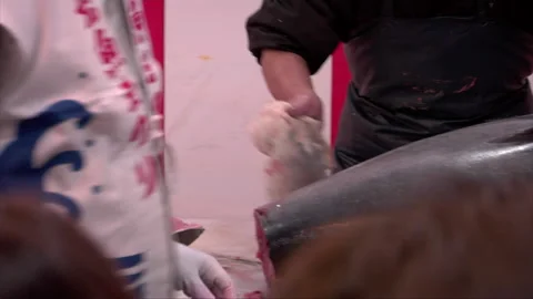 Large Tuna Butchered Stock Footage 139477885