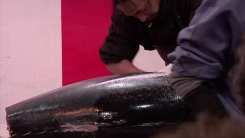 Large Tuna Butchered Stock Footage 139478404