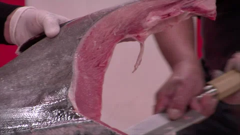 Large Tuna Butchered Stock Footage 139478452
