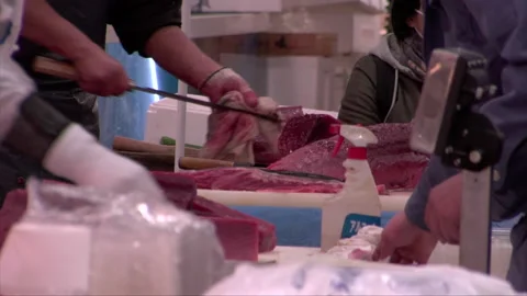 Large Tuna Butchered Stock Footage 139479166