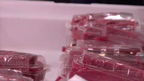 Large Tuna Butchered Stock Footage 139479646