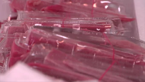 Large Tuna Butchered Stock Footage 139479843