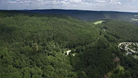 Large unified forest area Video stock 73591539
