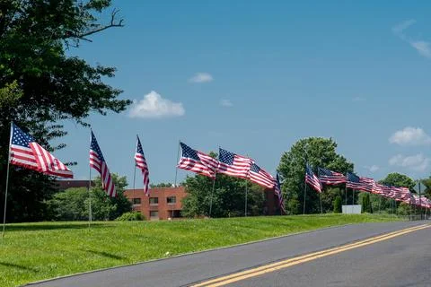 The large us flags stand proud along the drive Stock Photos