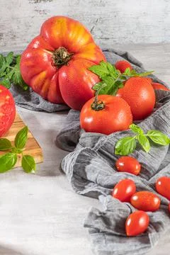 Large variety of tomatoes on rustic kitchen counter. Preparation of tomato sa Stock Photos