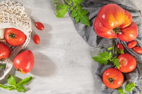 Large variety of tomatoes on rustic kitchen counter. Preparation of tomato sa Stock Photos