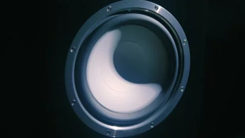 Large vibrations of powerful woofer in a high-end music speaker Video stock 297784360