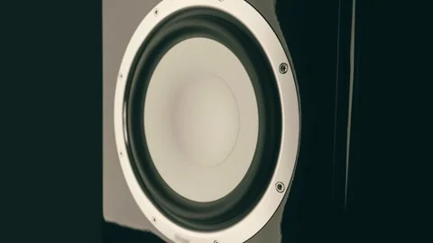 Large vibrations of powerful woofer in a high-end music speaker Video stock 303173759